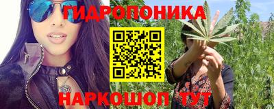 прущие крисы Новокубанск