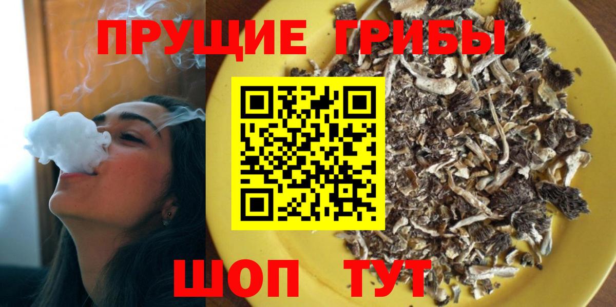 Тихвин  Псилоцибиновые грибы прущие грибы  Вход с VPN 